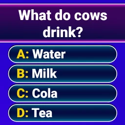 Symbol von Millionärsquiz: Fragen